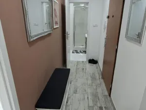 Prodej bytu 2+1, Frýdek-Místek - Frýdek, Jana Čapka, 45 m2