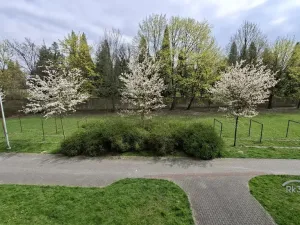 Prodej bytu 2+1, Frýdek-Místek - Frýdek, Jana Čapka, 45 m2