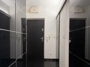 Prodej bytu 1+1, Ostrava - Hrabůvka, Dr. Martínka, 36 m2