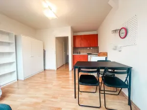 Pronájem bytu 1+kk, Praha - Smíchov, Holečkova, 26 m2