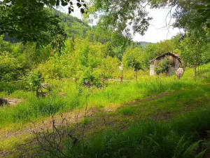 Prodej pozemku pro bydlení, Desná, Hutní, 2111 m2