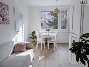 Pronájem bytu 2+kk, Duchcov, V Domkách, 36 m2