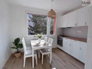 Pronájem bytu 2+kk, Duchcov, V Domkách, 36 m2