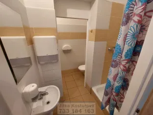 Pronájem bytu 1+1, Krnov - Pod Bezručovým vrchem, Revoluční, 32 m2