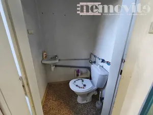 Prodej obchodního prostoru, Pardubice, Za Pasáží, 73 m2