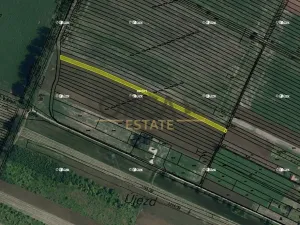 Prodej pole, Tvrdonice, 1967 m2