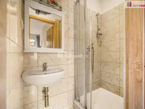 Prodej bytu 1+kk, Praha - Žižkov, Milíčova, 19 m2