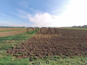 Prodej pole, Hrubá Vrbka, 2030 m2