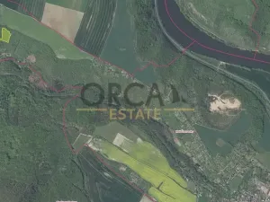 Prodej lesa, Malé Žernoseky, 7464 m2