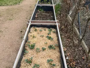 Pronájem bytu 1+kk, Praha - Strašnice, Michelangelova, 35 m2