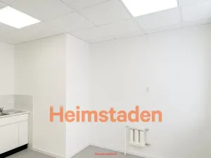 Pronájem kanceláře, Ostrava - Moravská Ostrava, Zelená, 59 m2