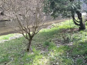 Prodej chaty, Brno - Obřany, 50 m2