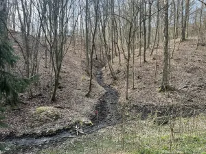 Prodej chaty, Nižbor - Žloukovice, 35 m2