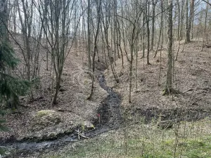 Prodej chaty, Nižbor - Žloukovice, 35 m2