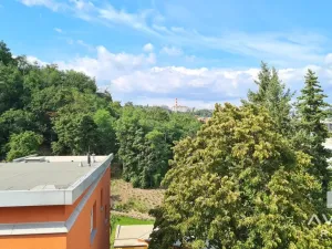 Pronájem bytu 3+1, Brno, Vinohrady, 116 m2