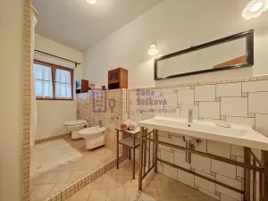 Prodej rodinného domu, Pluhův Žďár - Mostečný, 566 m2