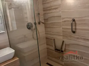 Prodej bytu 3+1, Opava - Město, U Fortny, 79 m2