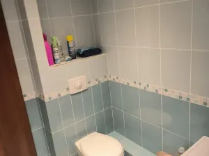 Prodej bytu 3+1, Most, Františka Malíka, 68 m2