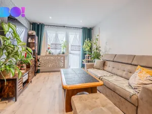 Prodej bytu 2+1, Karviná, Olbrachtova, 60 m2