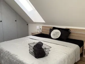 Pronájem rodinného domu, Sány, Jana Čapka ze Sán, 125 m2