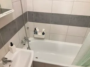 Pronájem bytu 2+1, Ostrava, Tlapákova, 54 m2