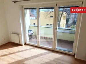 Pronájem rodinného domu, Zlín, Na Výsluní, 270 m2