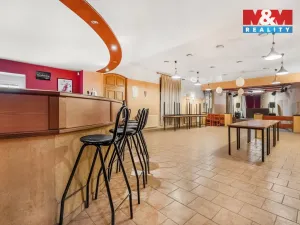 Prodej ubytování, Bílina - Mostecké Předměstí, Kyselská, 170 m2