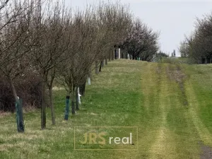 Prodej pozemku, Hroznová Lhota, 2997 m2