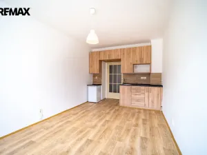 Pronájem bytu 1+kk, Praha - Žižkov, Biskupcova, 26 m2