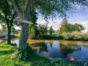 Prodej rodinného domu, Odrovice, 234 m2