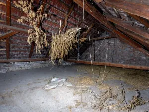 Prodej rodinného domu, Vyškov - Nouzka, Brněnská, 84 m2