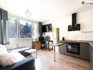 Prodej bytu 1+1, České Budějovice - České Budějovice 7, Lidická tř., 39 m2