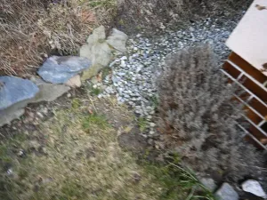 Prodej rodinného domu, Oborná, 302 m2