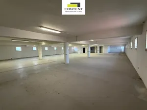 Pronájem výrobních prostor, Kostěnice, 3000 m2