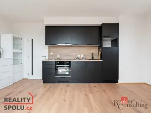 Pronájem bytu 1+kk, Heřmanova Huť - Vlkýš, U Pondu, 35 m2