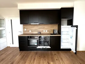 Pronájem bytu 1+kk, Heřmanova Huť - Vlkýš, U Pondu, 35 m2