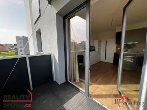 Pronájem bytu 1+kk, Heřmanova Huť - Vlkýš, U Pondu, 35 m2