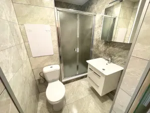 Prodej bytu 1+1, Český Krumlov - Nádražní Předměstí, Za Nádražím, 38 m2