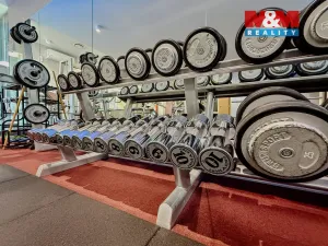 Prodej obchodního prostoru, Praha - Smíchov, Kobrova, 276 m2