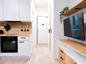 Pronájem bytu 2+kk, Praha - Smíchov, Plzeňská, 35 m2