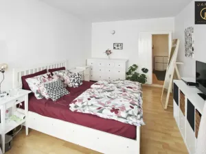 Pronájem bytu 2+1, Slaný, Štechova, 61 m2