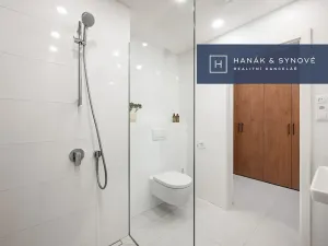 Pronájem bytu 1+kk, Brno, Koliště, 23 m2