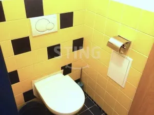 Pronájem bytu 2+1, Pardubice, Studánecká, 60 m2