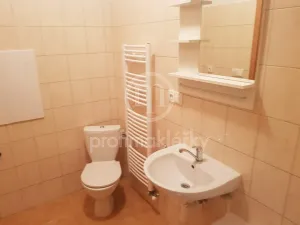 Pronájem bytu 2+kk, Ivančice, Břízová, 47 m2