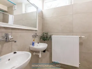 Pronájem atypického bytu, Hrušovany nad Jevišovkou, Cukrovarská, 10 m2