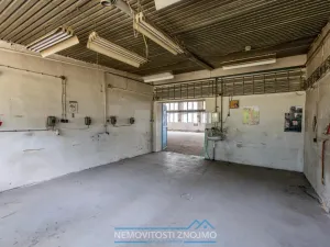 Prodej výrobních prostor, Hrušovany nad Jevišovkou, Rudé armády, 12000 m2
