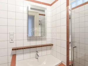 Pronájem bytu 1+1, Praha - Smíchov, Lidická, 43 m2