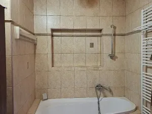 Prodej rodinného domu, Frýdlant nad Ostravicí, Hlavní, 300 m2