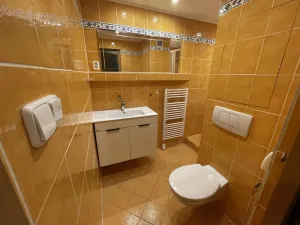 Prodej bytu 3+1, Rožnov pod Radhoštěm, Svazarmovská, 74 m2