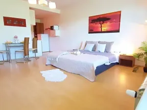 Pronájem bytu 1+kk, Brno, Šemberova, 51 m2